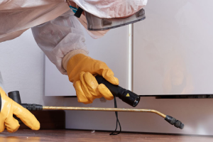 Messie Schädlingsbekämpfung Erkrath